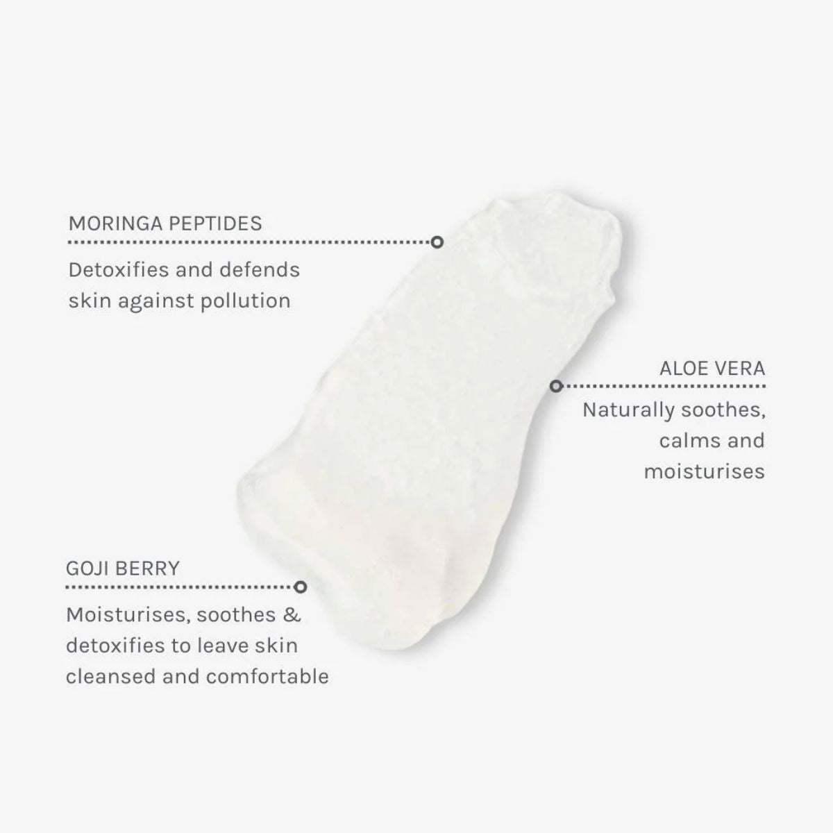 Evolve Organic Beauty • Daily Detox Facial Wash (nettoyant moussant)